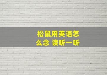 松鼠用英语怎么念 读听一听